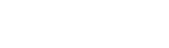 Dedal Services AG